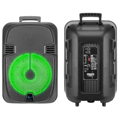 TECHNICAL PRO FLAG12DR Rechargable Bluetooth Speaker - Image 3