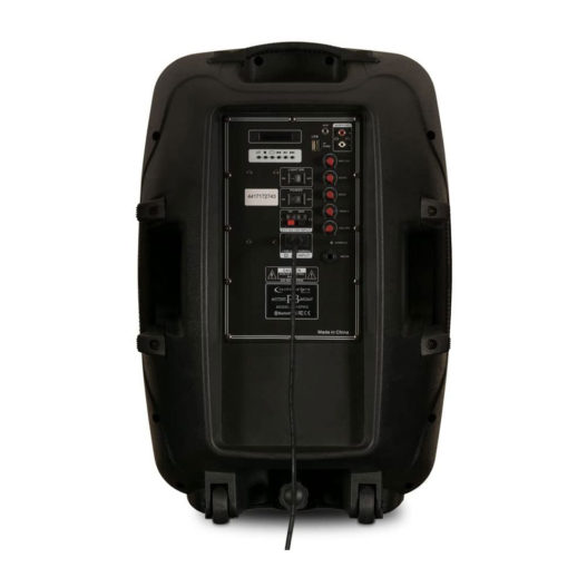 Technical Pro PB15FM Bluetooth Powered LED Speaker with FM Radio Battery Mic and Stand - Image 3